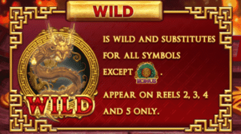 สัญลักษณ์ WILD